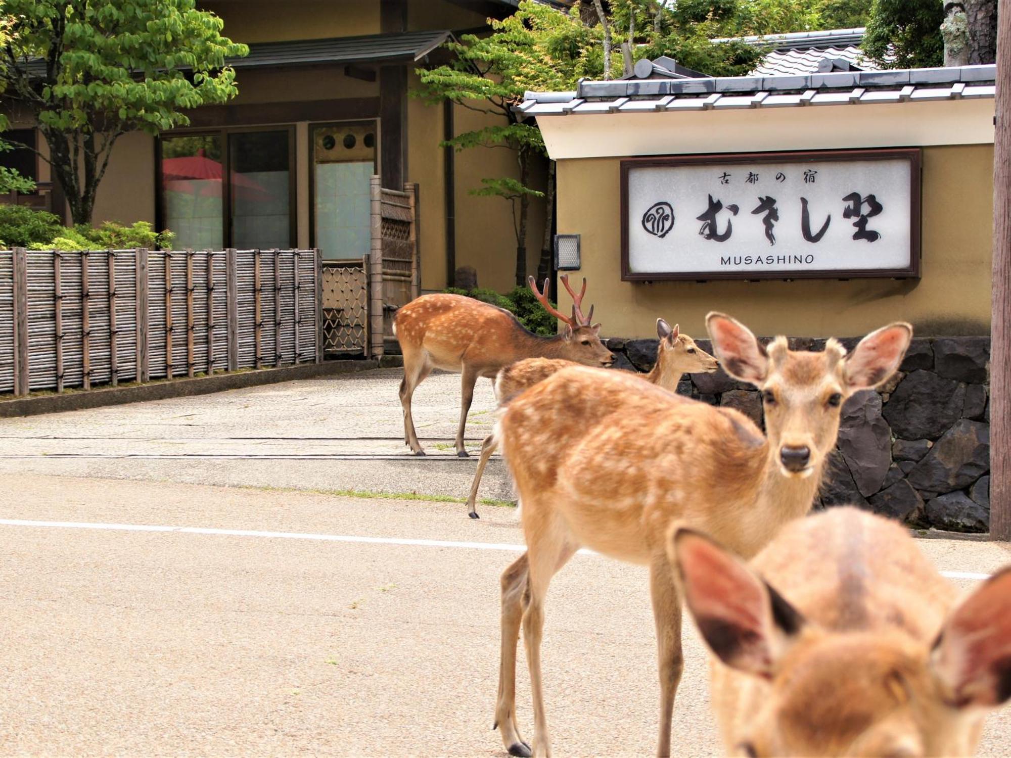 Hotel Kotonoyado Musashino Nara Esterno foto