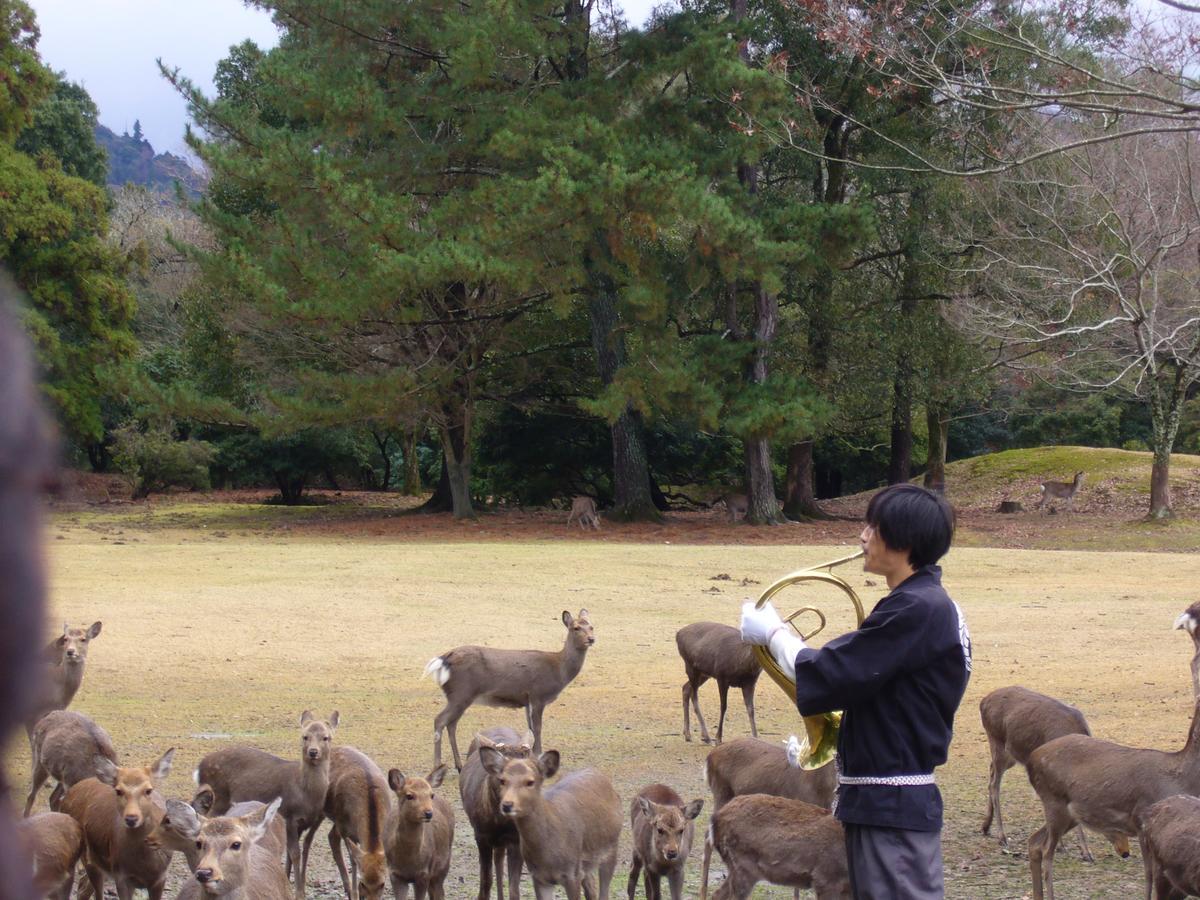 Hotel Kotonoyado Musashino Nara Esterno foto